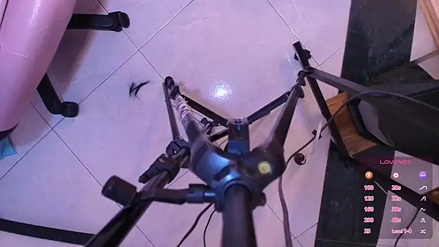 Terraelowen online show from November 1, 11:45 am