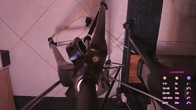 Terraelowen online show from November 4, 11:20 am