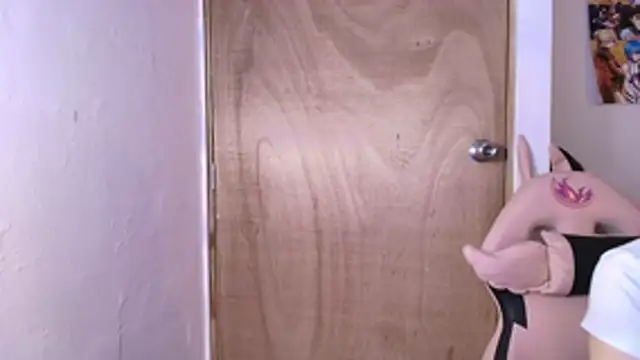 Terraelowen online show from February 19, 11:28 am