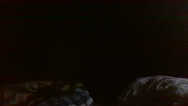 raredick online show from April 13, 3:39 pm