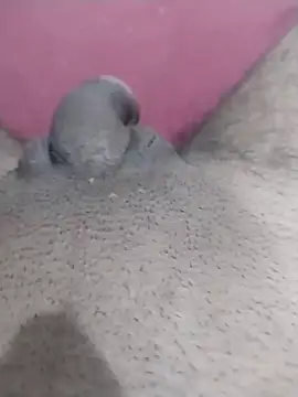 motoboytkbh online show from April 9, 8:03 pm