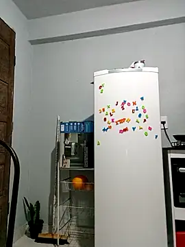 indiazinhabella27 online show from November 11, 2:11 am