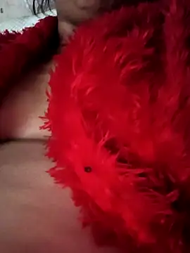 heena3355 online show from November 20, 4:12 am