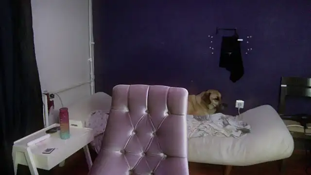 turkishTransEfsun online show from October 2, 3:35 am