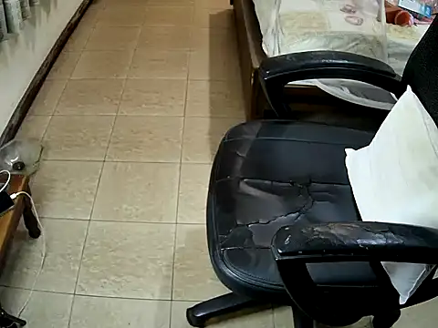 Snapshot of sissypamsissy chatting on February 8, 12:19 pm sissypamsissy online show from February 8, 12:19 pm