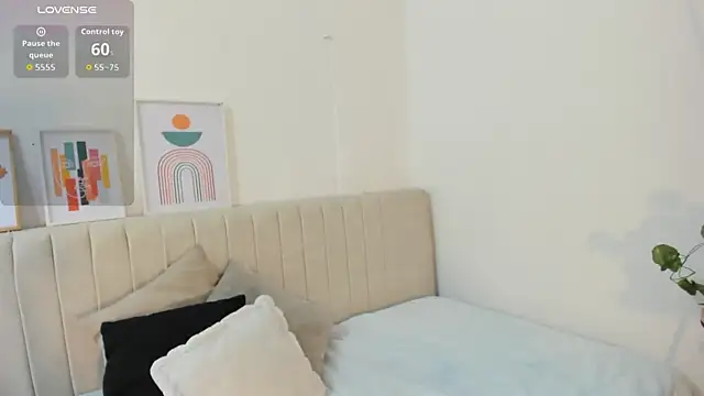  shaiira online show from January 14, 1:17 pm