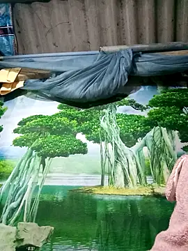 MaiHoa69 online show from November 15, 2:57 pm