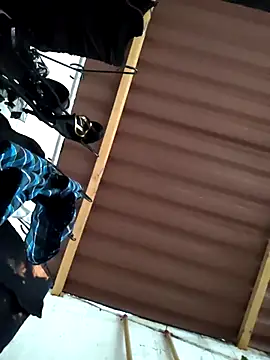 damian bull online show from November 24, 9:14 pm