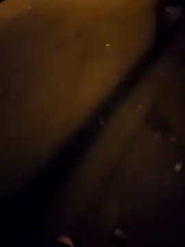 Kunbet online show from April 11, 4:00 pm