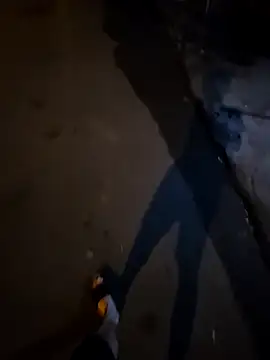 Kunbet online show from April 15, 4:25 pm