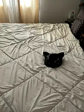 LesAmantsAE2 online show from October 11, 8:13 am