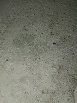 altafhyd online show from October 5, 10:57 am