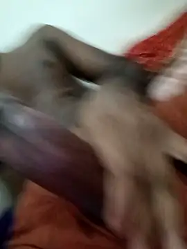 PlushOrnament93 online show from October 12, 5:34 pm