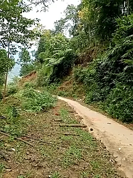 Dung-Thao19 online show from November 24, 2:55 am