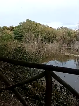 pegaso369 online show from October 20, 2:39 pm