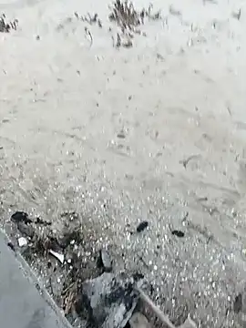 pegaso369 online show from October 29, 3:36 pm