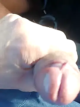 pegaso369 online show from November 27, 12:40 pm