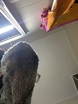 Lexi Storm online show from December 3, 5:48 am