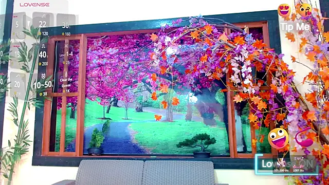 bayolet  online show from November 15, 11:18 am