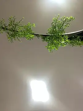 CharlotteBrownn  online show from February 23, 3:04 am