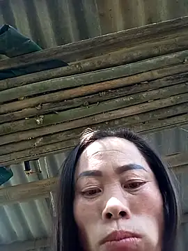 CoMay003 online show from November 15, 6:22 am