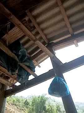 CoMay003 online show from April 12, 4:50 am