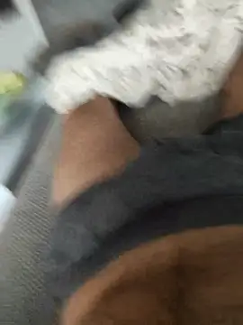 hansvonerotic1 online show from December 2, 11:59 am