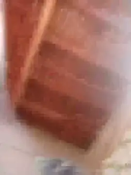 Snapshot of HOT-MUNDA chatting on February 9, 9:02 am HOT-MUNDA online show from February 9, 9:02 am