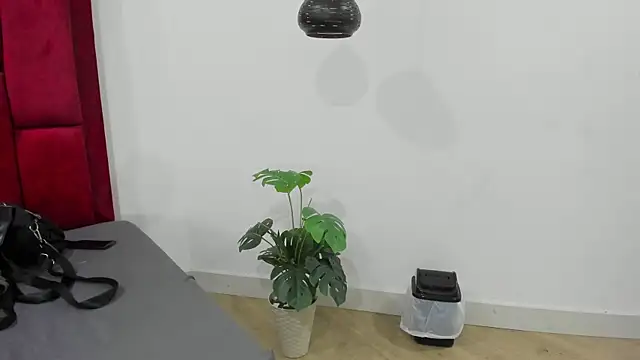 Snapshot of Mollyxketa1_ chatting on October 2, 11:23 pm Mollyxketa1  online show from October 2, 11:23 pm