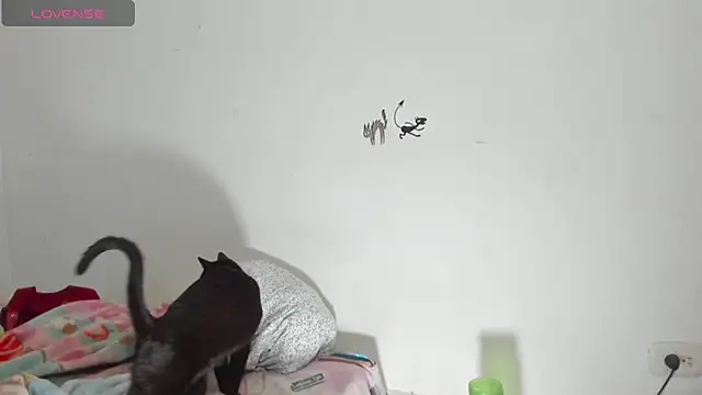 Raven Rouge  online show from September 26, 6:17 am