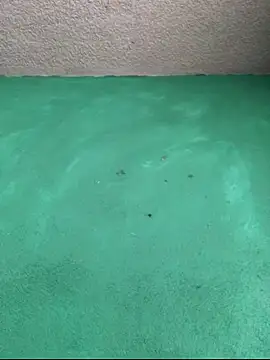 carlo20n online show from October 16, 7:15 pm