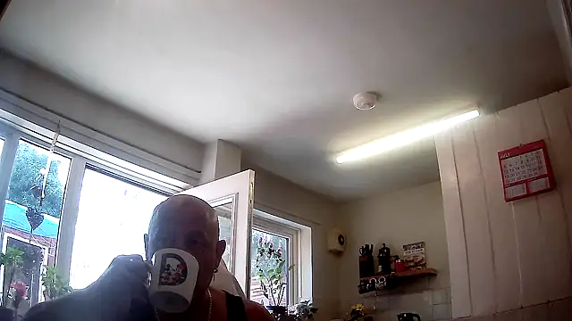 Snapshot of playfulchell chatting on July 17, 10:55 am playfulchell online show from July 17, 10:55 am