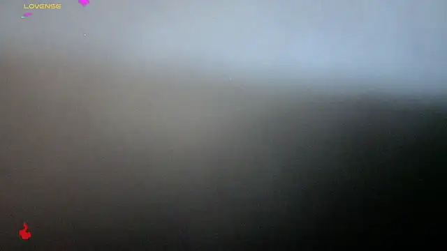 Alexander ferre online show from February 25, 1:32 pm