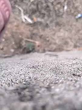 rajdehli online show from April 27, 12:25 pm