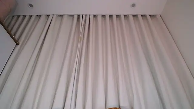 Snapshot of Liz_Hu chatting on February 16, 10:21 am Liz Hu online show from February 16, 10:21 am