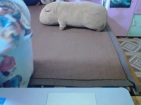 ahoa Tk online show from November 4, 2:32 am