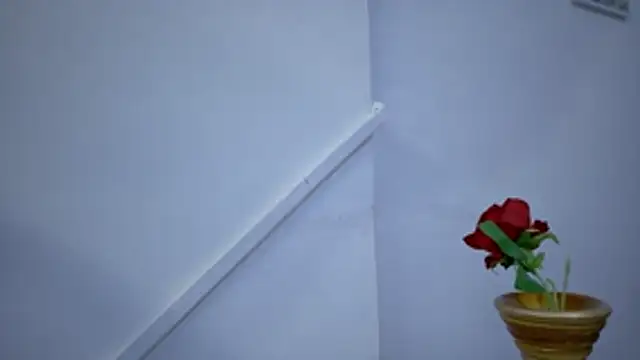 Lizbeth Rouse online show from November 15, 11:29 am