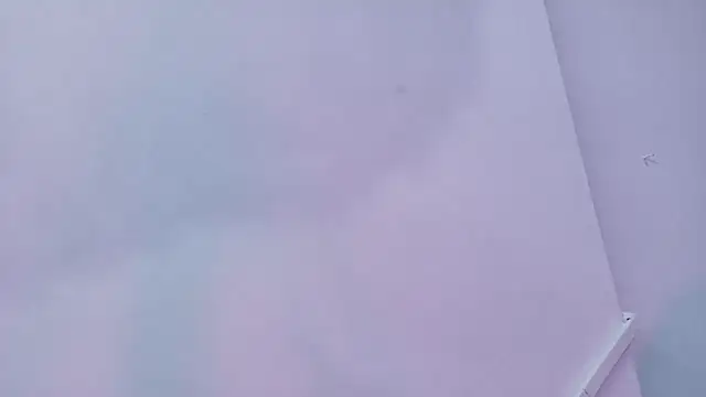 Lizbeth Rouse online show from November 29, 1:47 pm