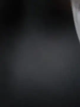 Lizbeth Rouse online show from December 17, 11:05 am