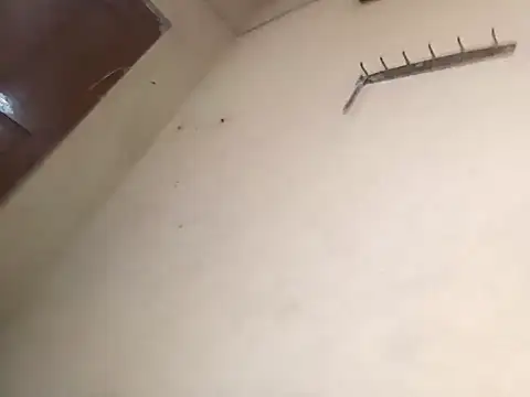 96Rohon online show from October 18, 2:58 am