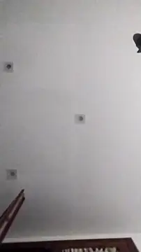 Snapshot of PearlingBunkbed chatting on November 9, 5:06 am PearlingBunkbed online show from November 9, 5:06 am