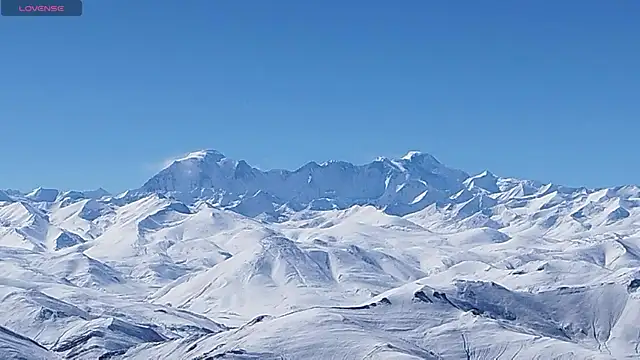 invention2025 online show from November 25, 8:58 am