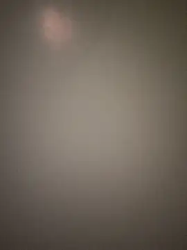 Ravina-737 online show from January 7, 3:36 pm