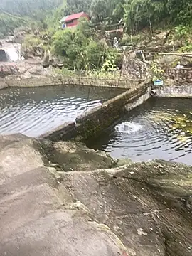 PhanHaa online show from November 10, 9:30 am