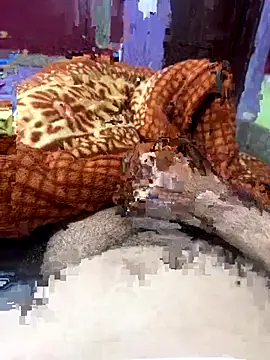 Rupkumarmaleforfun online show from December 18, 2:34 pm