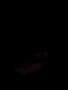 Harini Gautam online show from September 27, 7:30 pm