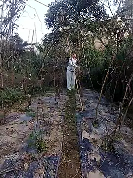 linda bae00 online show from November 27, 12:46 am