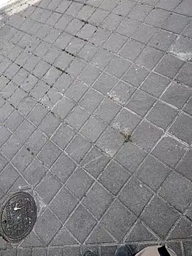 xxxfeo online show from April 9, 11:59 am