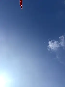 EmLy02 online show from December 19, 3:46 am