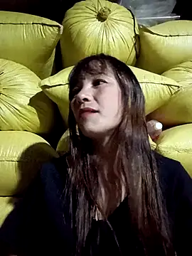 Mini3333 online show from October 3, 11:29 am